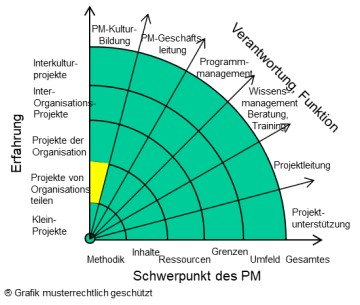 Organisationsteile - Projektkultur